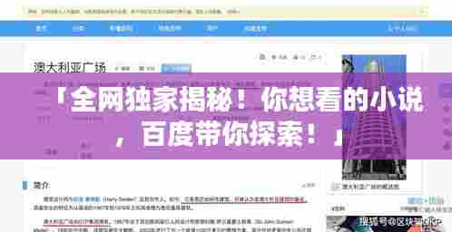 「全网独家揭秘!你想看的小说,百度带你探索!」