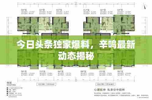 案例展示 第243页