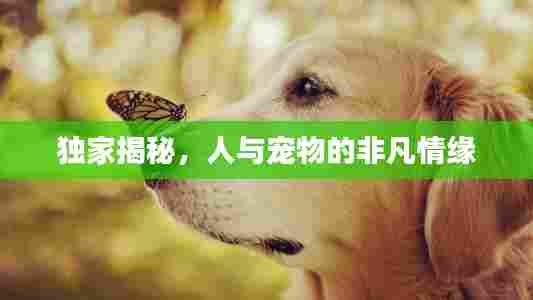 独家揭秘，人与宠物的非凡情缘