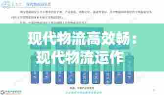 现代物流高效畅：现代物流运作 