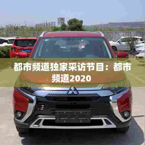 都市频道独家采访节目：都市频道2020 