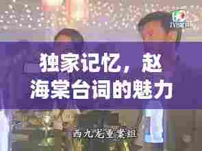 独家记忆，赵海棠台词的魅力与风采展现