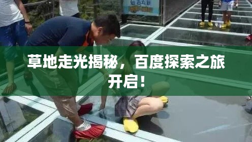 草地走光揭秘，百度探索之旅开启！