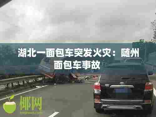 湖北一面包车突发火灾：随州面包车事故 