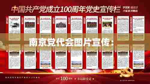 南京党代会图片宣传： 