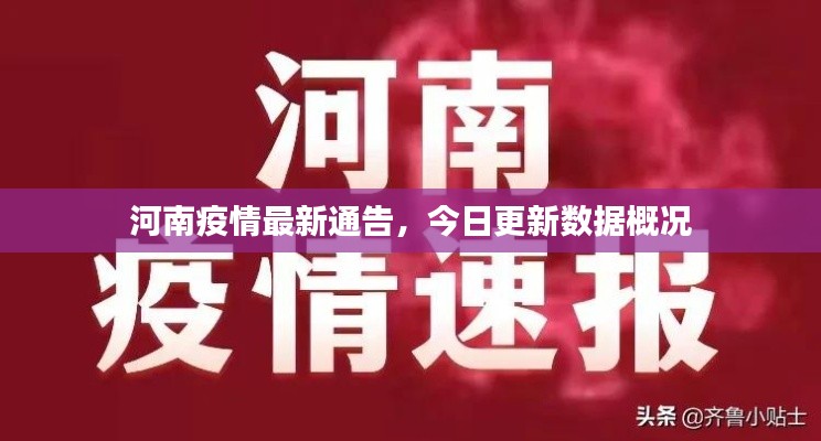 河南疫情最新通告，今日更新数据概况