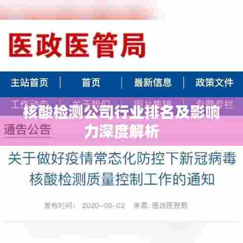 核酸检测公司行业排名及影响力深度解析