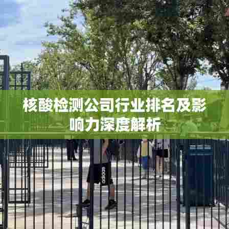 核酸检测公司行业排名及影响力深度解析