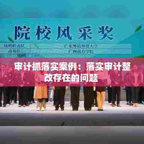 审计抓落实案例：落实审计整改存在的问题 