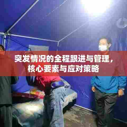 突发情况的全程跟进与管理，核心要素与应对策略