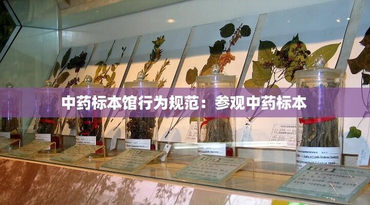中药标本馆行为规范：参观中药标本 