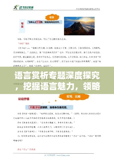 语言赏析专题深度探究，挖掘语言魅力，领略文字之美