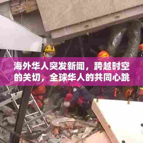 海外华人突发新闻，跨越时空的关切，全球华人的共同心跳