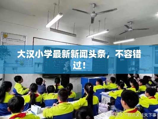 大汉小学最新新闻头条，不容错过！