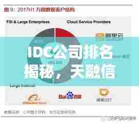 IDC公司排名揭秘，天融信的位置与影响力深度解析