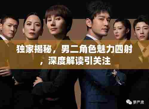 独家揭秘，男二角色魅力四射，深度解读引关注