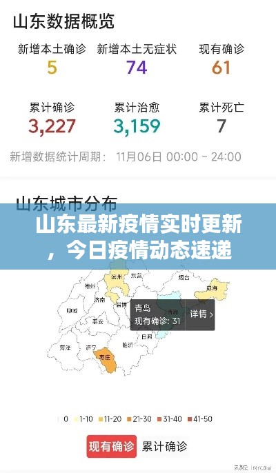 山东最新疫情实时更新，今日疫情动态速递