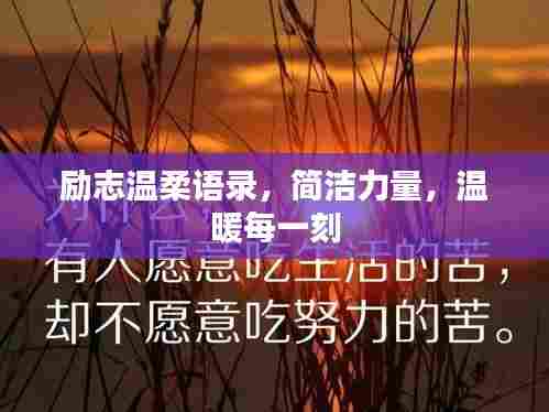励志温柔语录，简洁力量，温暖每一刻