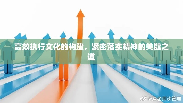 高效执行文化的构建,紧密落实精神的关键之道