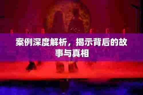 案例深度解析，揭示背后的故事与真相