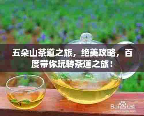 五朵山茶道之旅，绝美攻略，百度带你玩转茶道之旅！
