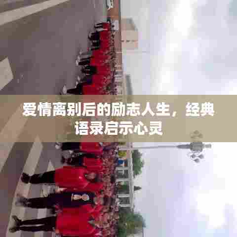 爱情离别后的励志人生，经典语录启示心灵