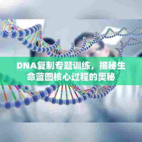 DNA复制专题训练，揭秘生命蓝图核心过程的奥秘