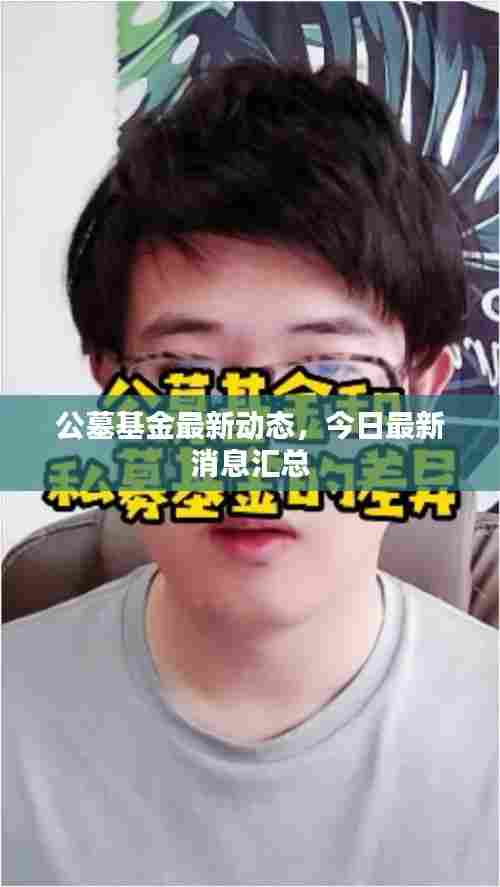 公墓基金最新动态，今日最新消息汇总