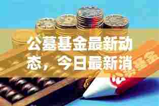 公墓基金最新动态,今日最新消息汇总