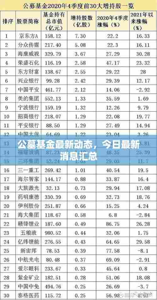公墓基金最新动态,今日最新消息汇总