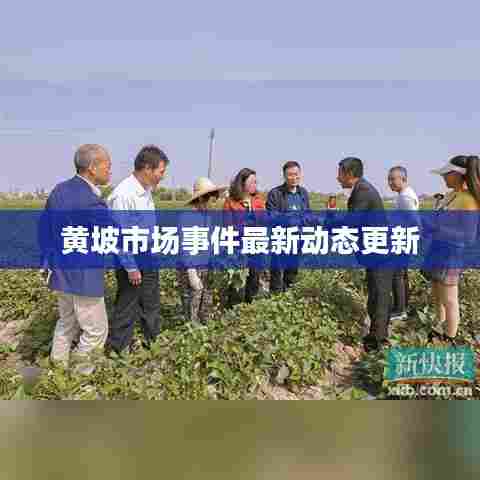 黄坡市场事件最新动态更新