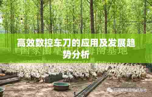 高效数控车刀的应用及发展趋势分析