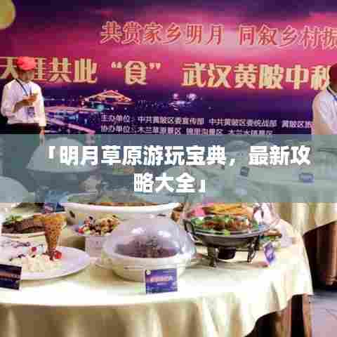 「明月草原游玩宝典，最新攻略大全」