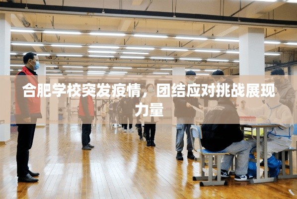 合肥学校突发疫情，团结应对挑战展现力量