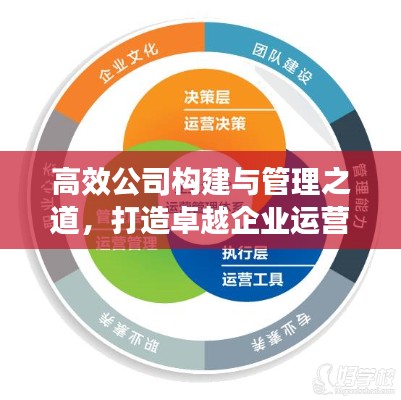 高效公司构建与管理之道，打造卓越企业运营体系