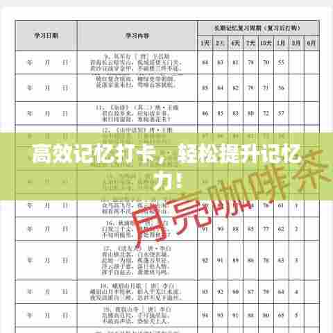 高效记忆打卡，轻松提升记忆力！