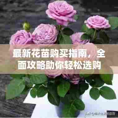 最新花苗购买指南，全面攻略助你轻松选购优质花苗