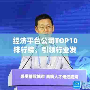 经济平台公司TOP10排行榜，引领行业发展，谁占据了行业制高点？