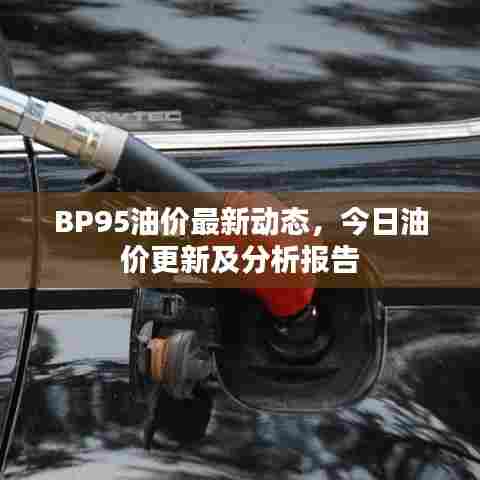 BP95油价最新动态，今日油价更新及分析报告