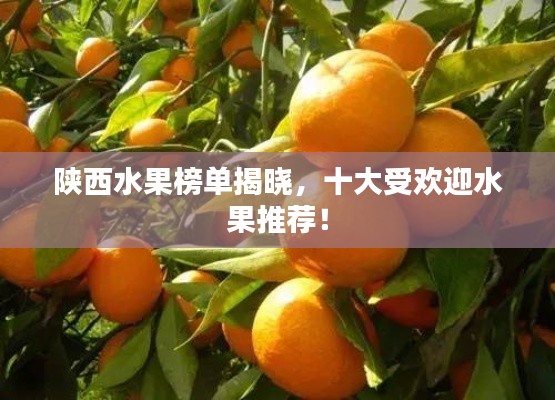 笃实好学 第7页