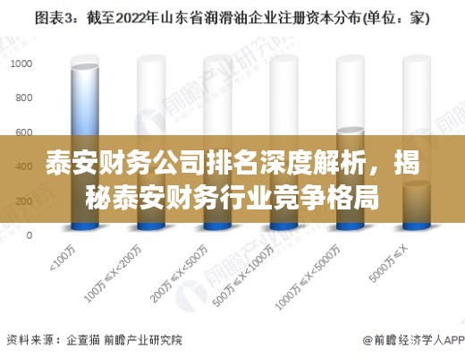 泰安财务公司排名深度解析，揭秘泰安财务行业竞争格局