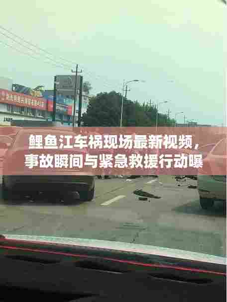 鲤鱼江车祸现场最新视频，事故瞬间与紧急救援行动曝光