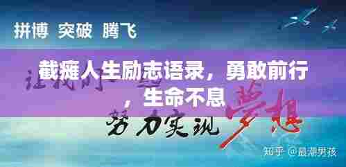 截瘫人生励志语录，勇敢前行，生命不息