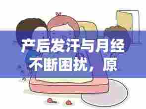 产后发汗与月经不断困扰,原因解析、处理方法及恢复策略