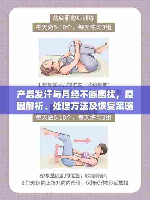 产后发汗与月经不断困扰,原因解析、处理方法及恢复策略