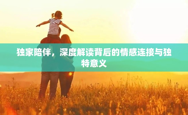 独家陪伴,深度解读背后的情感连接与独特意义
