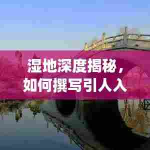 湿地深度揭秘，如何撰写引人入胜的标题及内容全攻略
