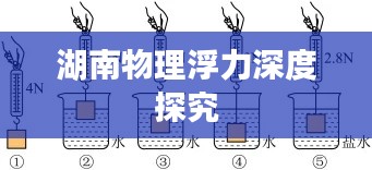 湖南物理浮力深度探究