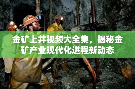金矿上井视频大全集，揭秘金矿产业现代化进程新动态