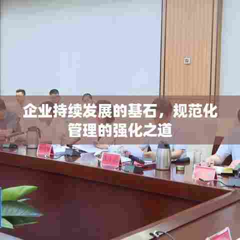 企业持续发展的基石,规范化管理的强化之道